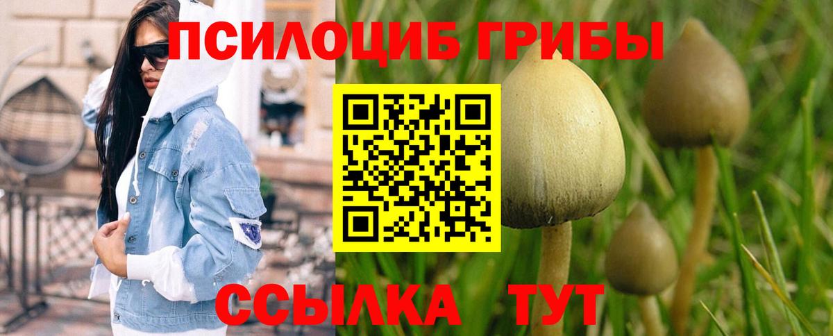 Рыбинск  Галлюциногенные грибы ЛСД  Вход с VPN 